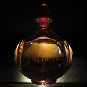 Midnight Essence Perfume